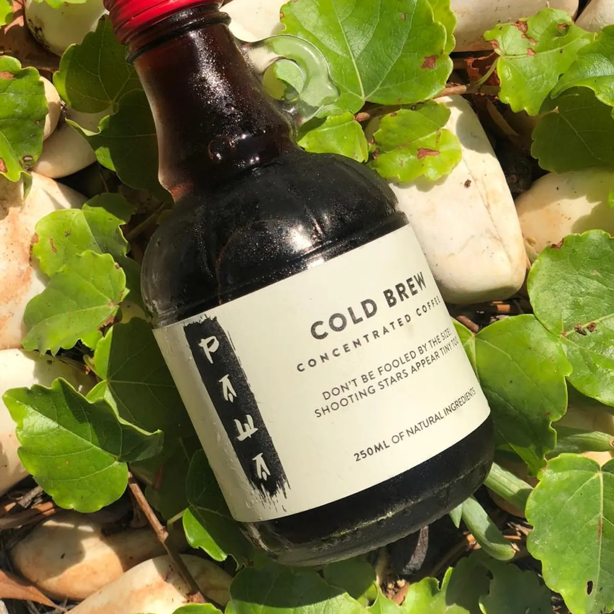 A Pawa concentrated cold-brew bottle among green foliage